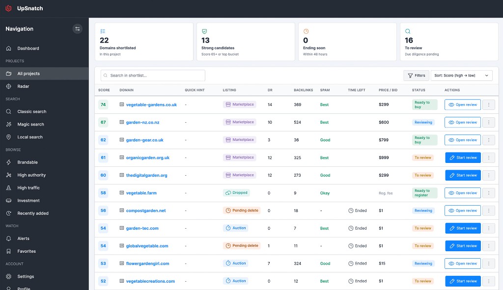 UpSnatch project shortlist with domain scores, listing types, spam labels, and review statuses such as To review and Ready to buy